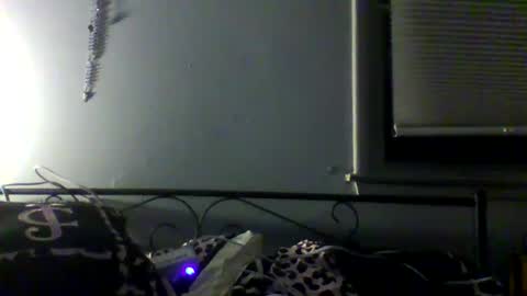 Snapshot of harleywestinc chatting on March 2026 05:51:01 AM harleywestinc online show from March 2026 05:51:01 AM