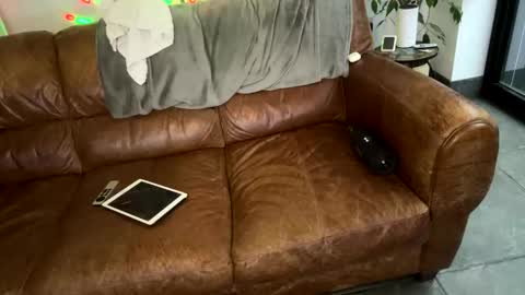 harrisonelijah online show from May 2026 04:50:01 AM