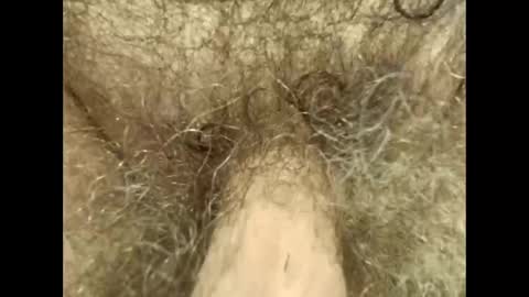 harry_banana online show from September 2025 12:41:01 PM