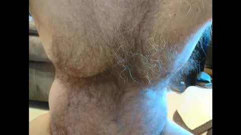 harry_banana online show from December 2025 01:41:02 PM