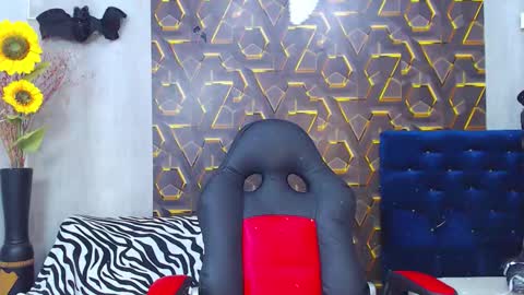 Harry online show from November 2025 09:59:01 PM