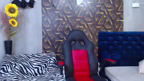 Harry online show from November 2025 08:29:01 PM