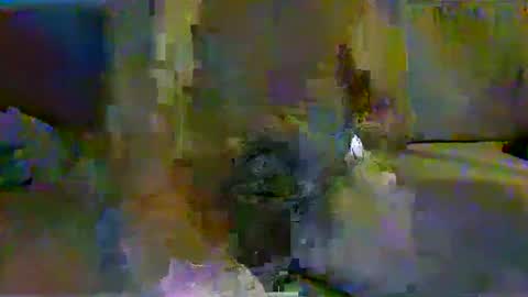 harryhavana online show from February 2025 07:44:01 AM