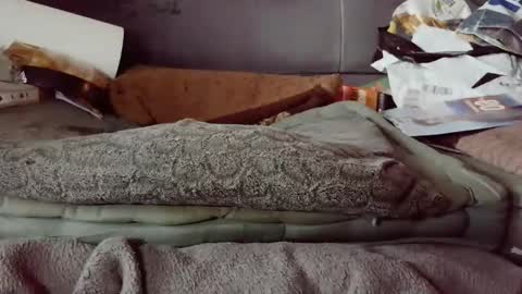 hartl1112 online show from December 2025 10:24:02 AM