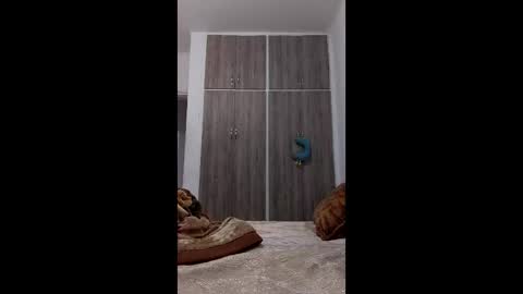 hassane12 online show from April 2026 11:24:02 PM