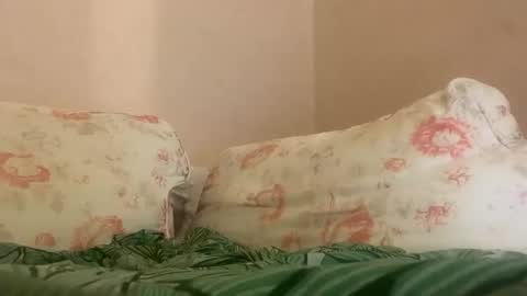 dee online show from January 2025 04:09:01 AM