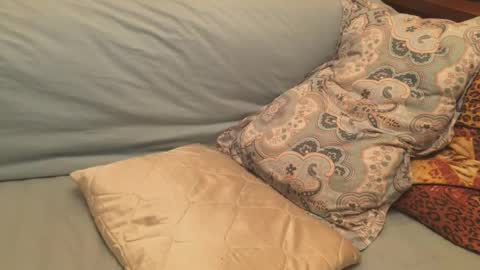 havedream1m online show from December 2024 12:11:01 PM