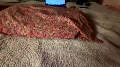 Snapshot of hawt_ass_milf chatting on March 2026 04:05:01 AM Amber - or vip online show from March 2026 04:05:01 AM