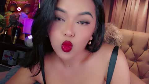 HAYFA online show from November 2025 05:39:02 AM