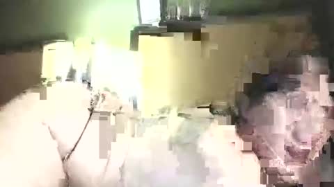 hazelbasil32728 online show from October 2025 11:39:01 PM