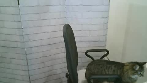 Helen online show from January 2026 05:24:02 AM