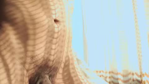 Helio online show from February 2026 11:32:02 PM