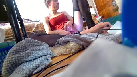 Snapshot of hellboy29ts chatting on March 2025 04:35:02 PM Roxanne online show from March 2025 04:35:02 PM