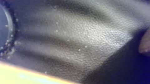 Snapshot of hellobunbunx0 chatting on December 2024 12:11:02 PM hellobunbunx0 online show from December 2024 12:11:02 PM