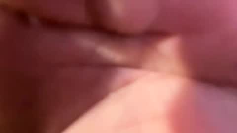 hellohiheyhowareyou online show from November 2025 05:01:02 AM