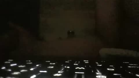 WhoMe online show from February 2025 09:43:01 AM