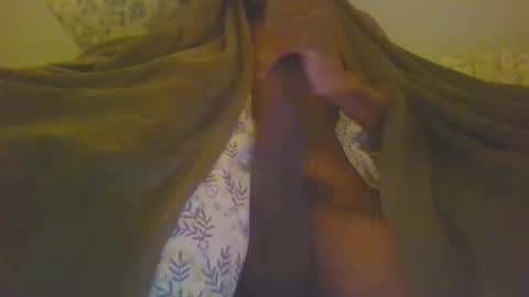 hemlocks online show from March 2025 03:59:01 PM