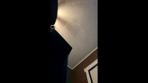 Hentai KittyXx online show from May 2026 12:06:01 AM