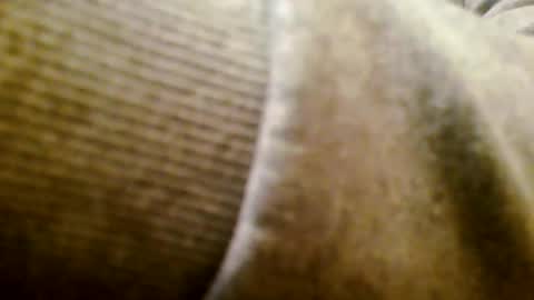 mr D online show from November 2025 05:24:02 PM