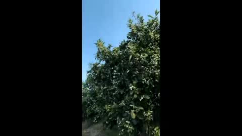 heterooli online show from March 2026 04:29:01 PM