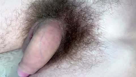 Arnold online show from January 2025 09:17:02 PM