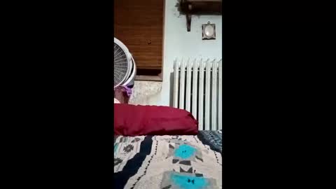 heythatguy2589 online show from March 2026 09:36:02 AM