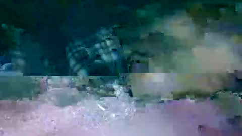 MR. Bation online show from February 2026 01:13:01 AM