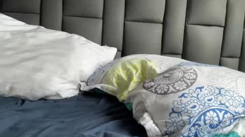 Terry and E online show from September 2025 08:54:01 PM