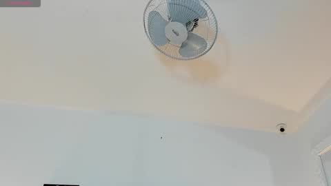 hilary_tailor online show from January 2026 11:25:02 AM