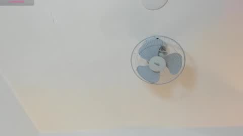 hilary_tailor online show from January 2026 05:50:01 PM