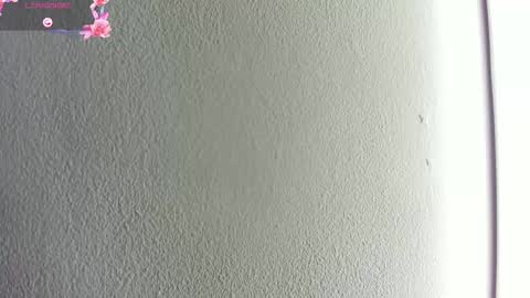 Hilary Thomsom online show from January 2026 11:56:01 AM