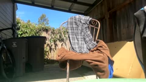 Hippie Jijm online show from April 2026 07:39:02 PM