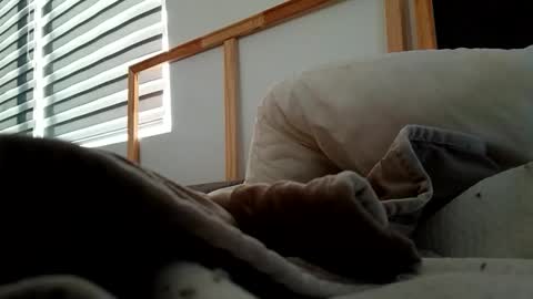 Fucker online show from November 2025 12:17:01 PM