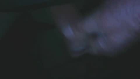 hofnung online show from April 2026 10:41:02 PM