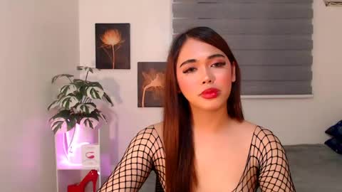 hollywoodstareme online show from July 2026 08:44:01 PM