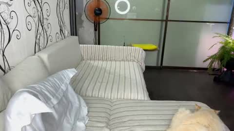 Snapshot of holy_eggs_00 chatting on August 2026 03:03:02 PM holy_eggs_00 online show from August 2026 03:03:02 PM