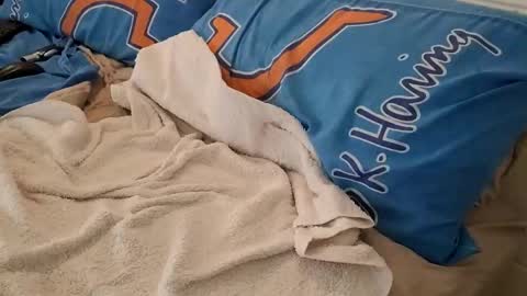 Snapshot of homer1976 chatting on March 2025 02:41:02 AM Homer online show from March 2025 02:41:02 AM