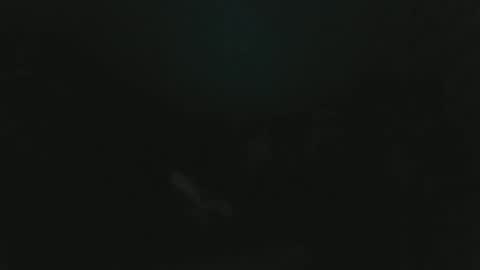 homeskillet96 online show from March 2026 07:03:01 AM