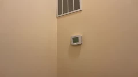 honey_man14 online show from February 2025 06:32:02 PM