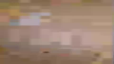 honeybear2026 online show from July 2026 07:23:02 AM