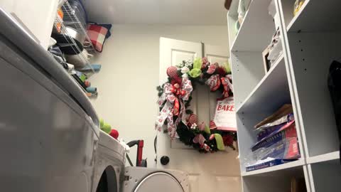 hornieecum online show from January 2025 11:24:01 AM