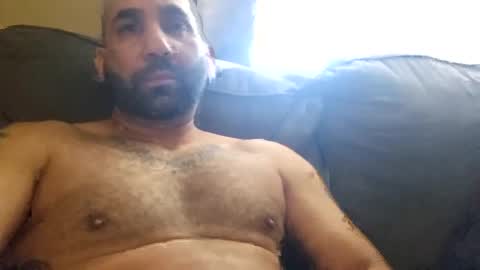 Hornlat online show from January 2025 08:11:01 PM