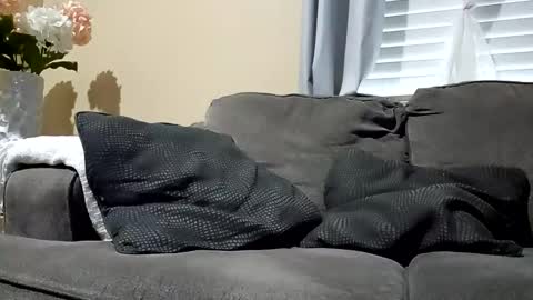 Hornlat online show from November 2025 12:20:01 AM