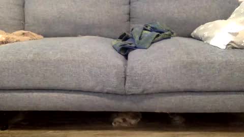 Snapshot of hornnnybwc chatting on March 2026 04:23:01 PM hornnnybwc online show from March 2026 04:23:01 PM