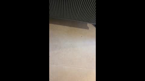 horny4more691 online show from March 2026 06:57:01 PM