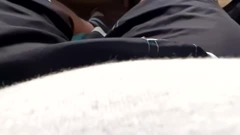 Tiny cock online show from May 2026 11:17:01 AM