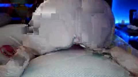 hornycouple4542 online show from September 2025 09:15:01 PM