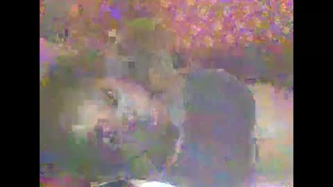 Snapshot of hornygal001 chatting on April 2026 05:07:02 AM hornygal001 online show from April 2026 05:07:02 AM