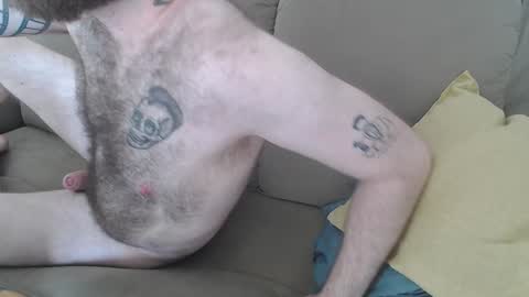 Snapshot of hornyhairy_bi chatting on January 2025 06:37:02 PM Harry online show from January 2025 06:37:02 PM