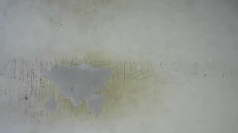 Bella online show from February 2026 11:58:02 PM